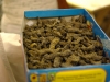 smallafrica2009-1053