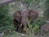 smallafrica2009-1740