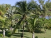 smallafrica2009-1802