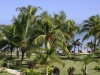 smallafrica2009-1803