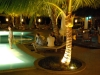 smallafrica2009-1825