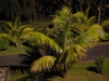 smallafrica2009-1872