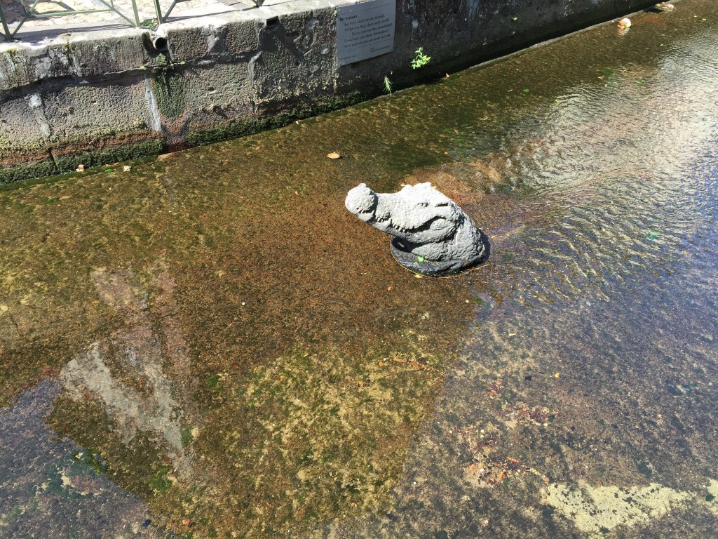 Crocks in the river