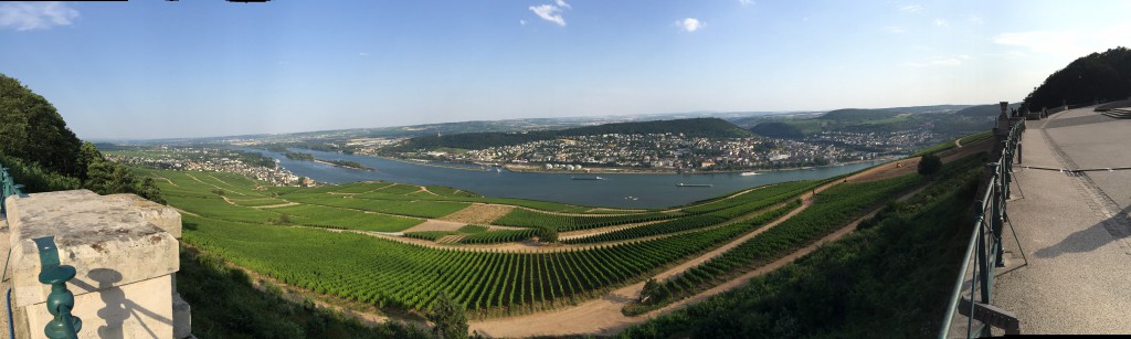 Panorama view from Niederwalddenkmal