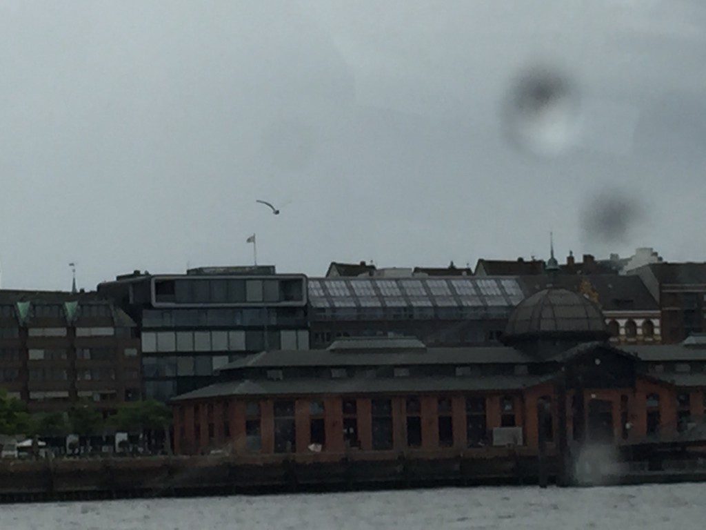 I worked in the building (Grosse Elbstrasse 14), which looks like a glass roof, with a view over River Elbe and when our vessels passed, we were waving at them :-)