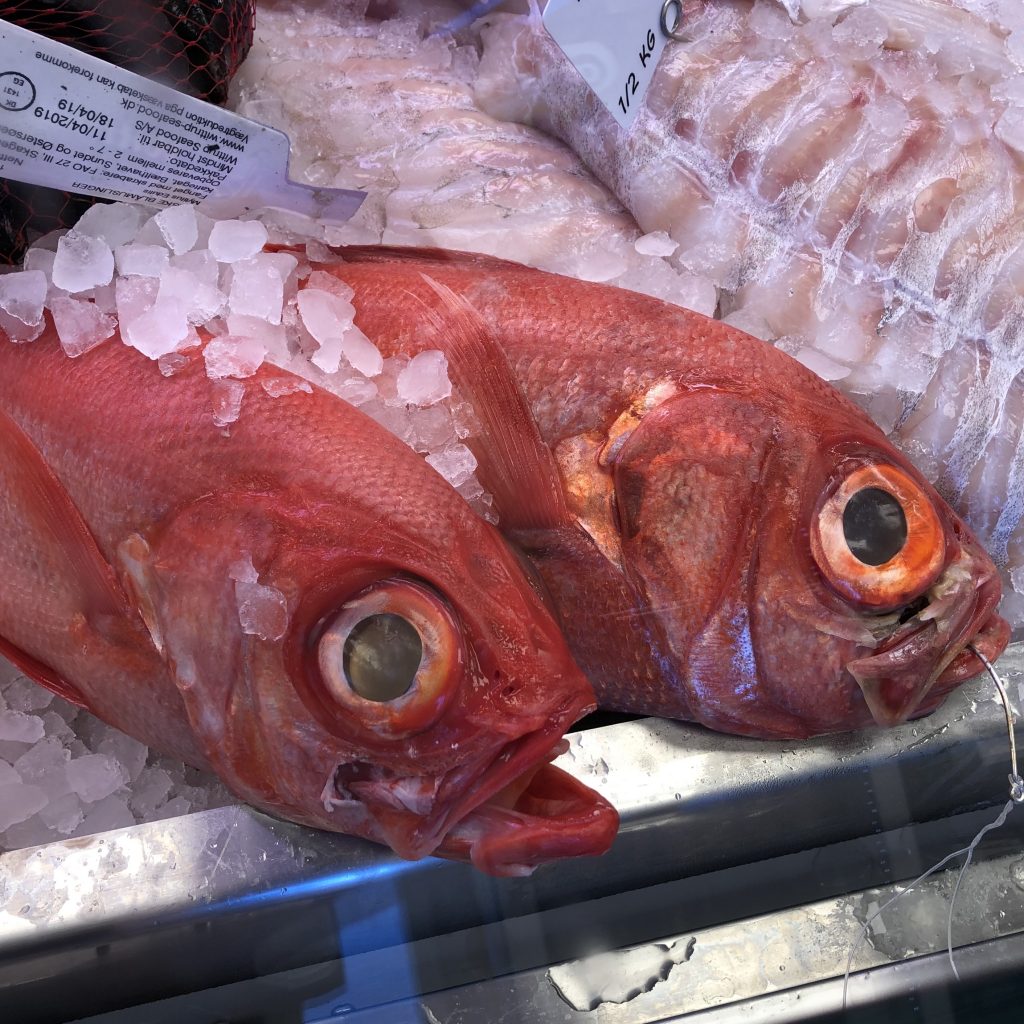 Alfonsino