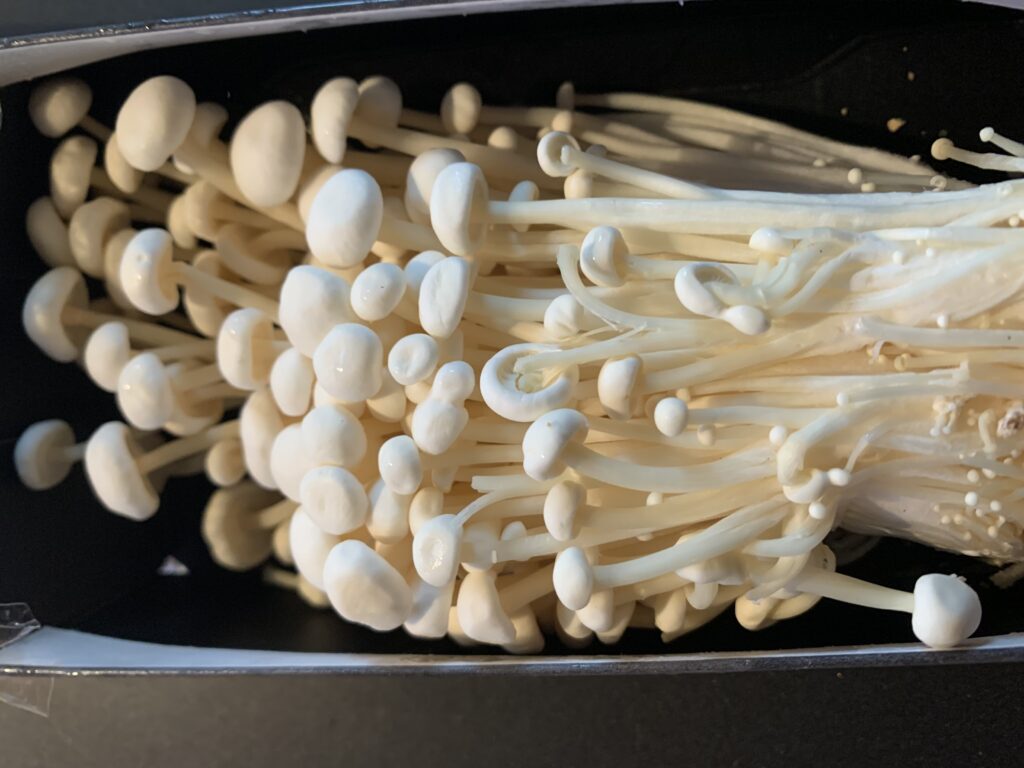 Enoki mushrooms - Flammulina velutipes